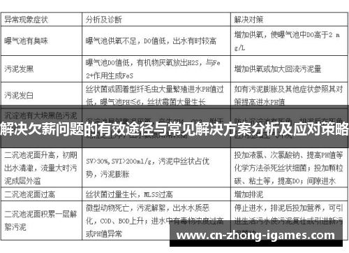 解决欠薪问题的有效途径与常见解决方案分析及应对策略 解决欠薪问题的有效途径与常见解决方案分析及应对策略